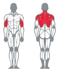 Célzott izomcsoport