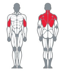 Célzott izomcsoport