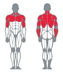 Célzott izomcsoport