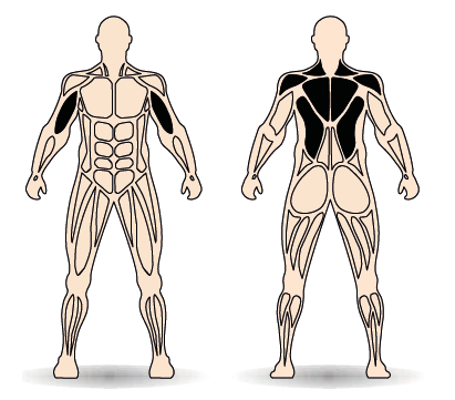 Célzott izomcsoport