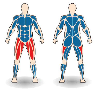 Célzott izomcsoport