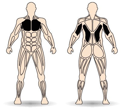 Célzott izomcsoport