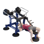 MB 7.64 Fekvenyomó gép (Bench Press)