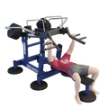 MB 7.64 Fekvenyomó gép (Bench Press)